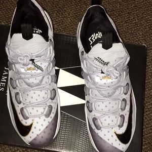 Lebron 13s